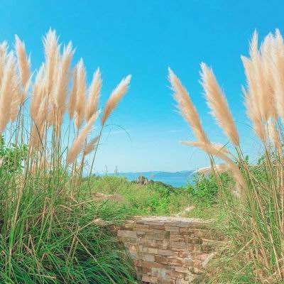 博鱼app下载(中国)官方网站