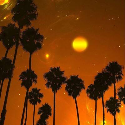 大众彩票入口welcome下载手机版