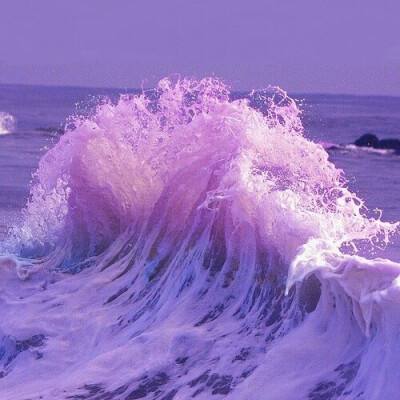 fb体育官方网站入口