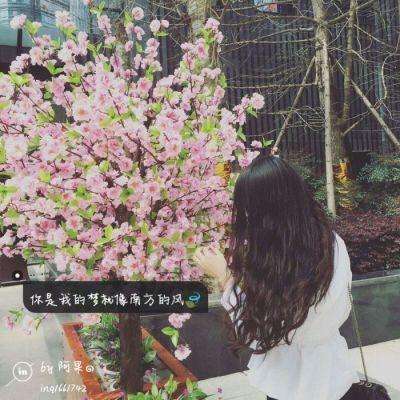 博鱼app下载(中国)官方网站